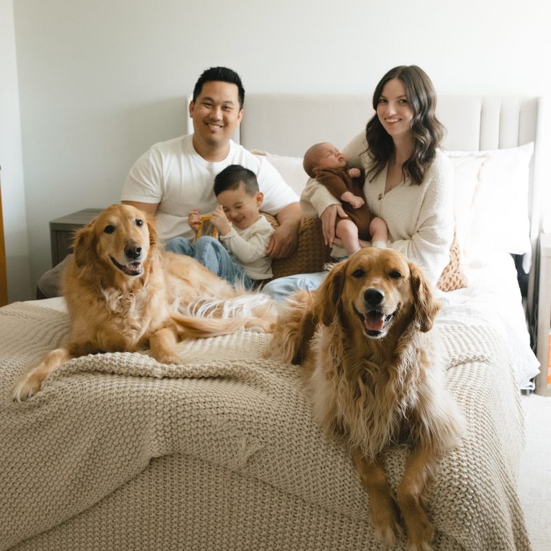 Theodore with his family and their two golden retrievers